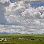 Picture the Nations Mongolia Landscape